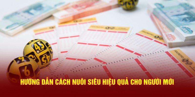 Hướng dẫn cách nuôi siêu hiệu quả cho người mới