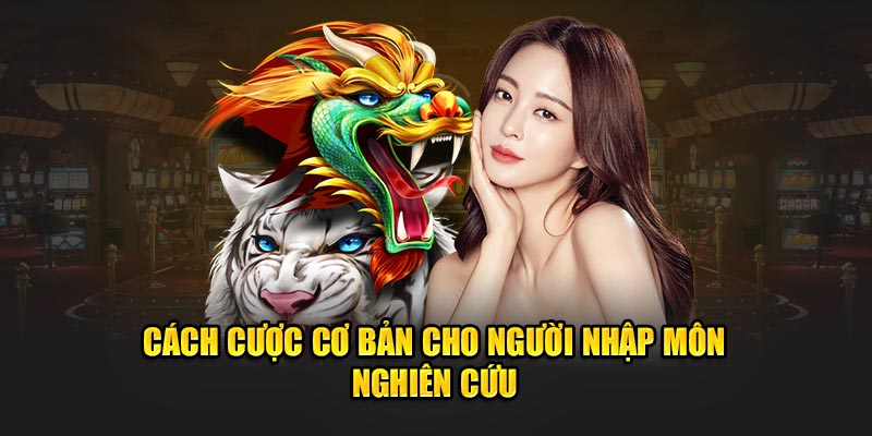 Cách cược cơ bản cho người nhập môn nghiên cứu 
