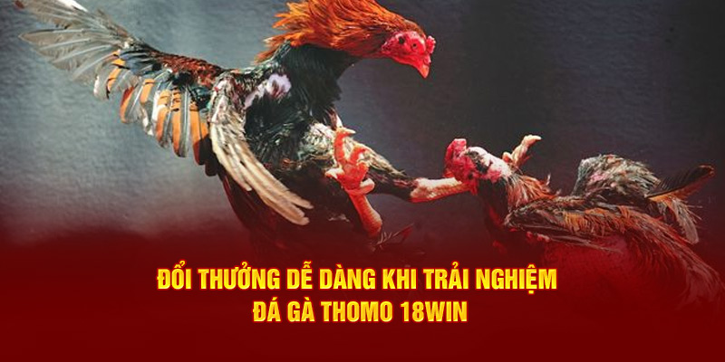 Đổi thưởng dễ dàng khi trải nghiệm đá gà thomo 18Win