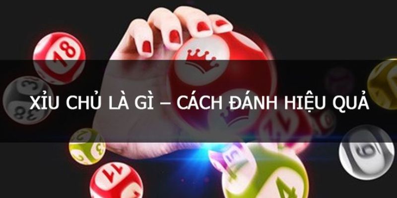Tóm tắt vài nét chính về lô xỉu chủ